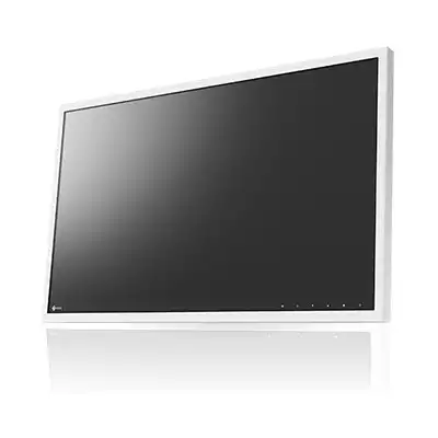 27" EIZO RadiForce EX270W-DVI
