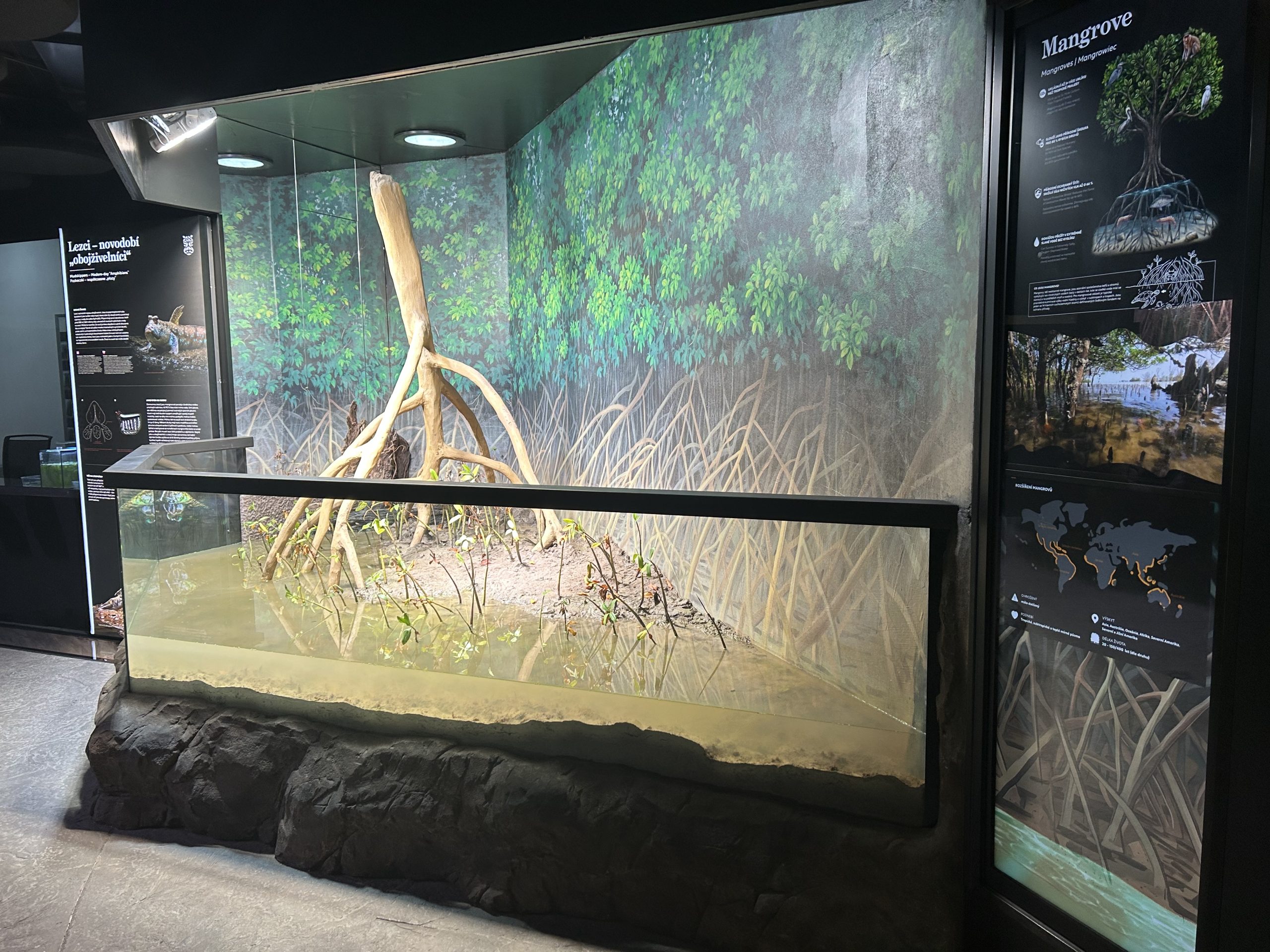 Digital signage v Amphibiariu Zoo Ostrava